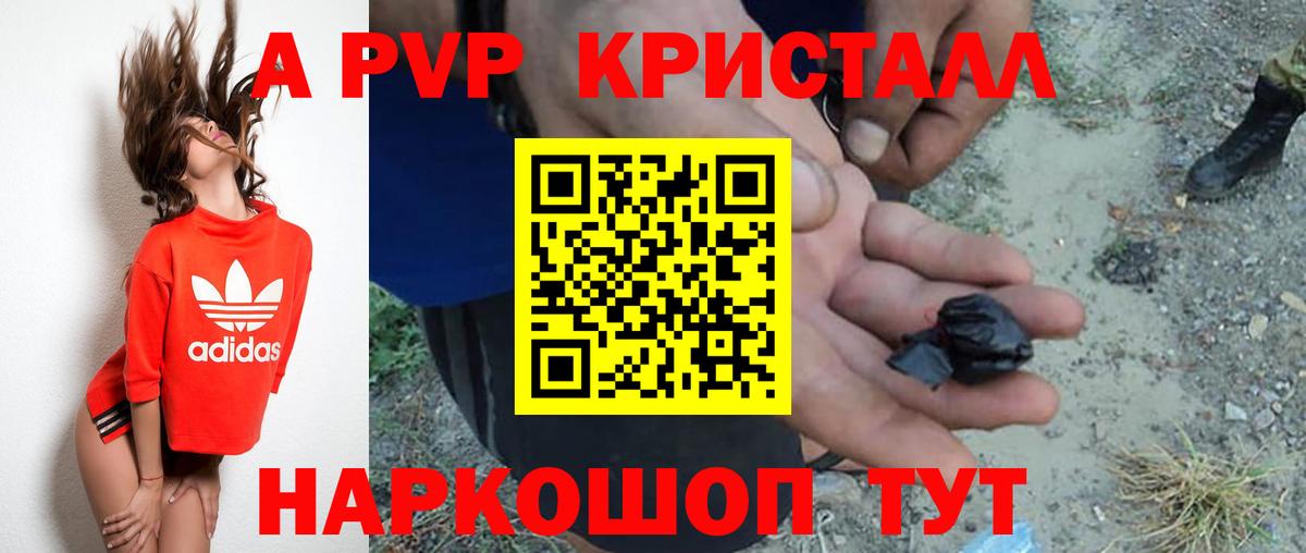 Alfa_PVP СК Санкт-Петербург