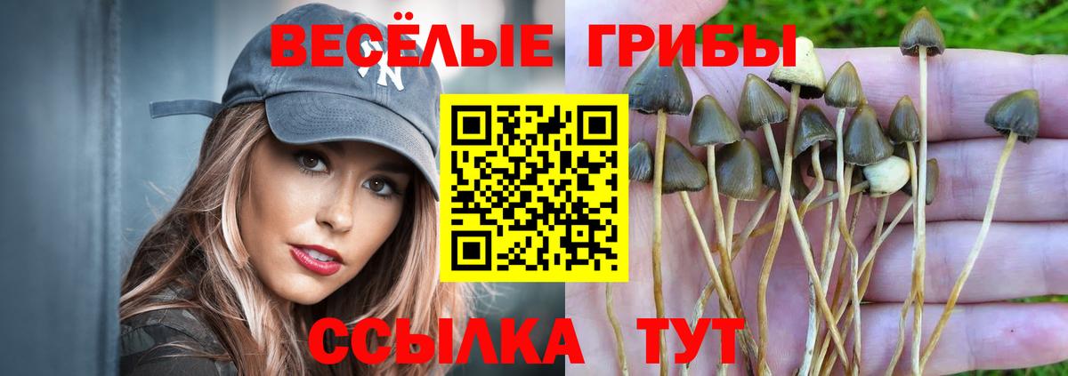 Галлюциногенные грибы мухоморы  Вход с VPN  что такое   Санкт-Петербург 