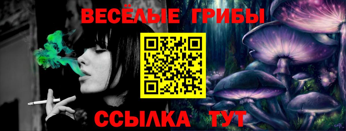 Галлюциногенные грибы мицелий Санкт-Петербург